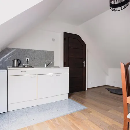 Appartement In The Historic Part Of *